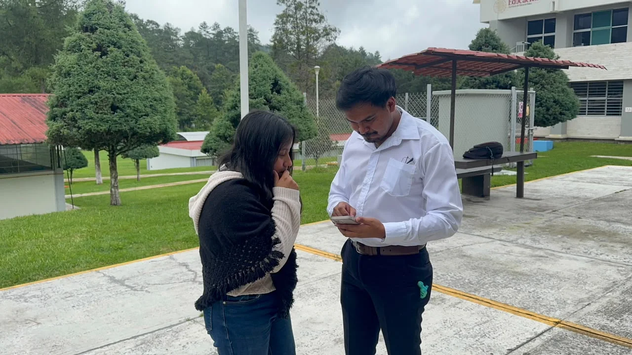Demostración individual de la aplicación en un teléfono